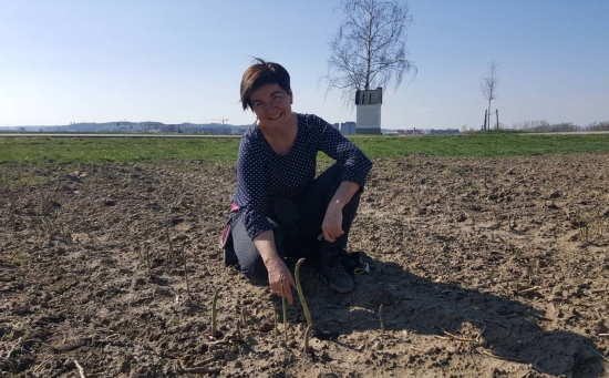 Saisonstart: Abhof-Verkauf ab 09.04.2019